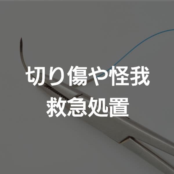大阪市　救急処置　切り傷